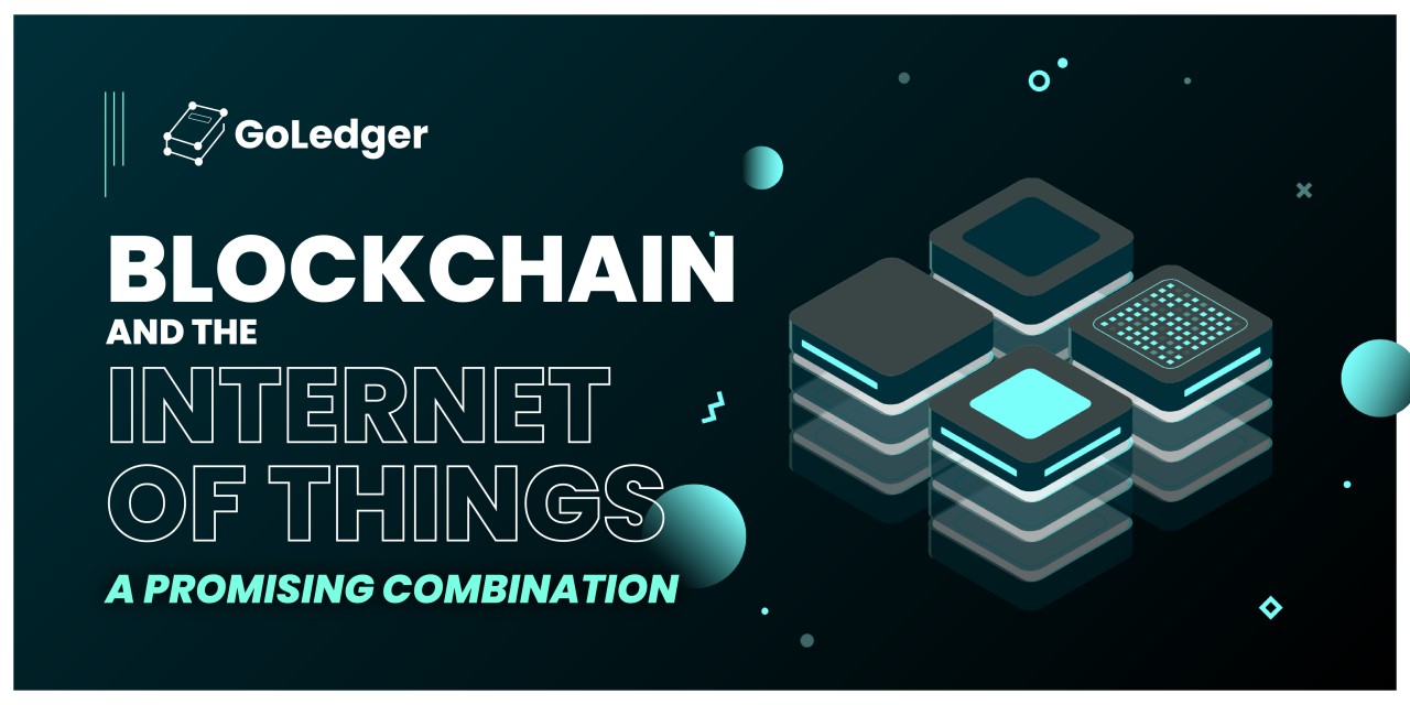 Blockchain and the Internet of Things: Synergy for a Safer, More Efficient Future